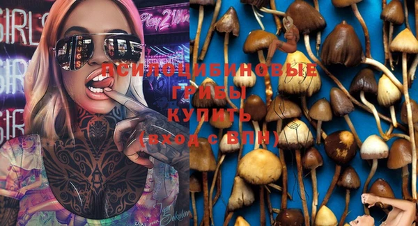 марки lsd Алзамай
